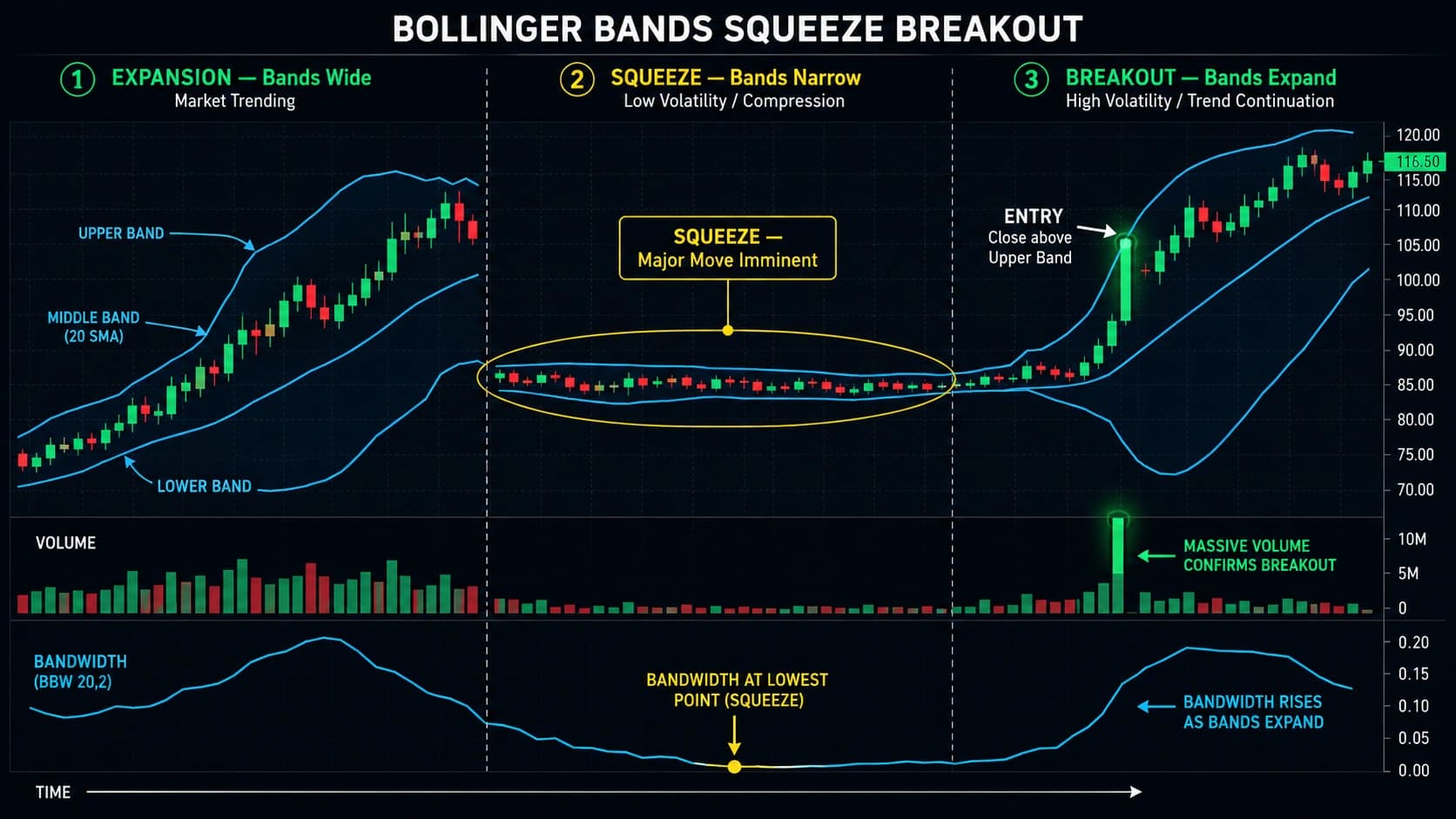 Bollinger Band squeeze breakout showing three phases expansion then squeeze compression with narrow bands then explosive breakout candle above upper band with volume confirmation
